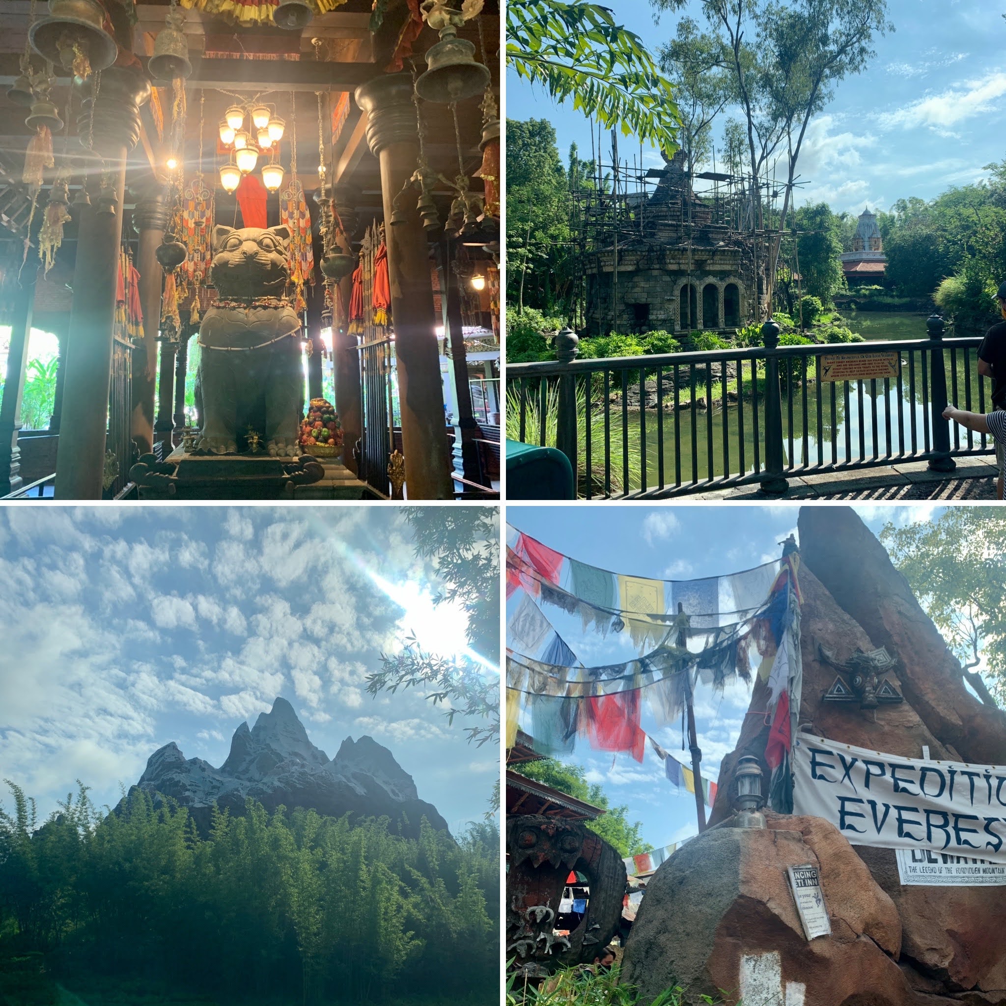 Animal Kingdom